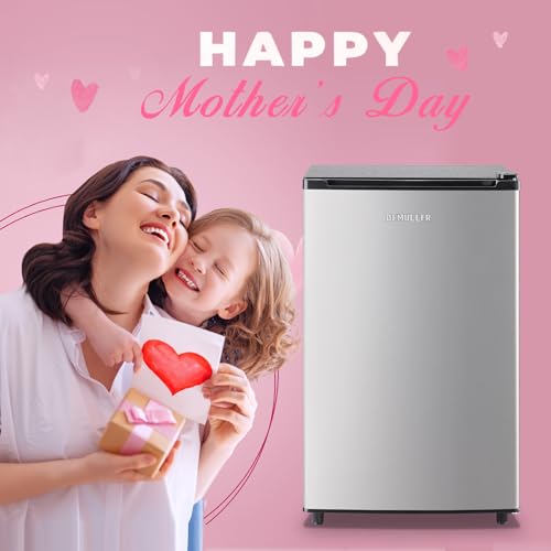DEMULLER Upright Freezer Large Freezer Low Energy Single Door Freestanding Freezer for Kitchen, Apartment, Basement, Dorm
