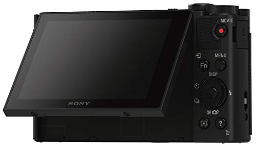 Sony HX80 Parent - Radiant Selections