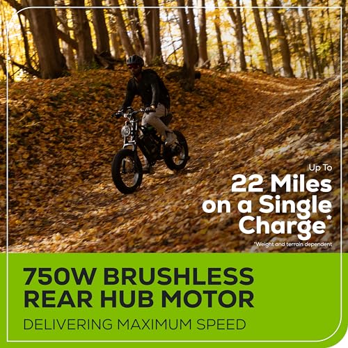 Greenworks 80V