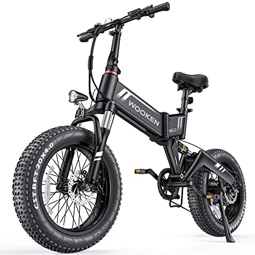 Wooken Electric Bike, 20''X4.0 Fat Tire Electric Bike for Adults,500W(Peak 750W) Foldable Electric Bike with 48V 10Ah Battery,Professional 7 Speed