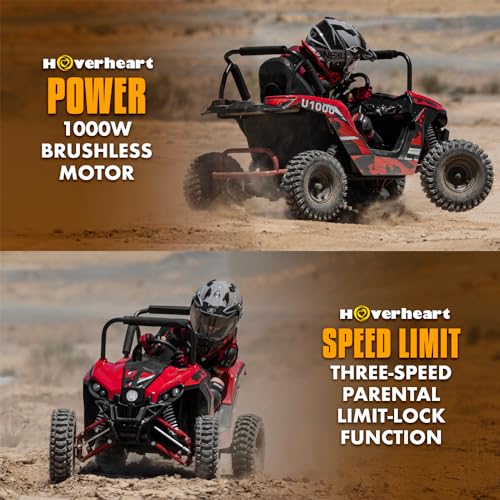 UTV Ride on Car (Large), 48V Shock Absorber Electric Vehicles with Disk Brake, Gear Switch, Steel Frame, Off-Road Tire, Flexible Seat Belt and Seat