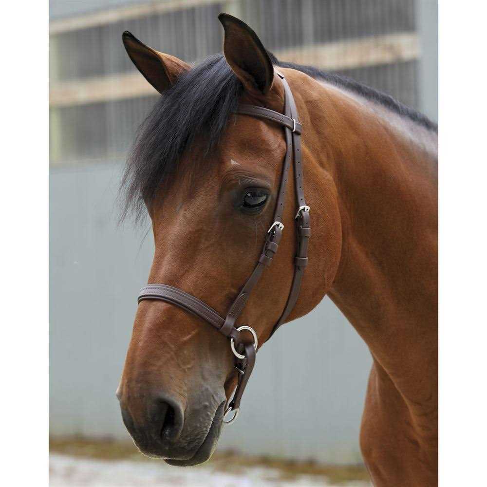 Dr. Cook Beta Bitless Bridle - Sports Supplies Online Store