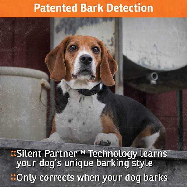 SportDOG NoBark SBC-8 Collar - Pet Supplies online store