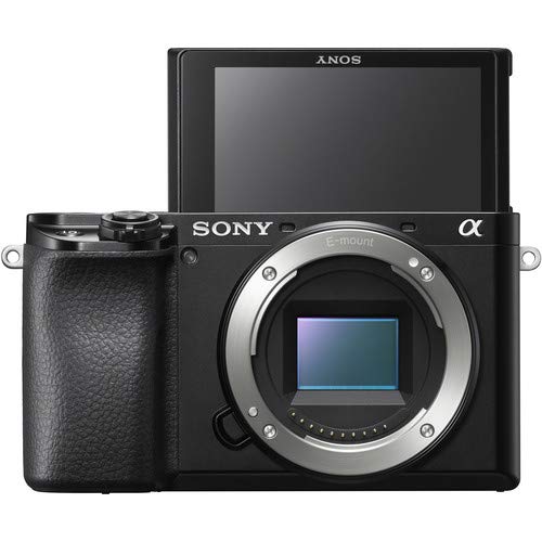 Sony Alpha A6100 Mirrorless Camera