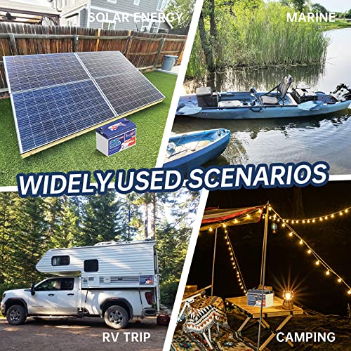 12V 230Ah LiFePO4 Battery, Built-in 150A BMS, Max. 1920W Power Output & 2944Wh Energy Lithium Battery, 15000 Cycles for Your RVs, Solar System