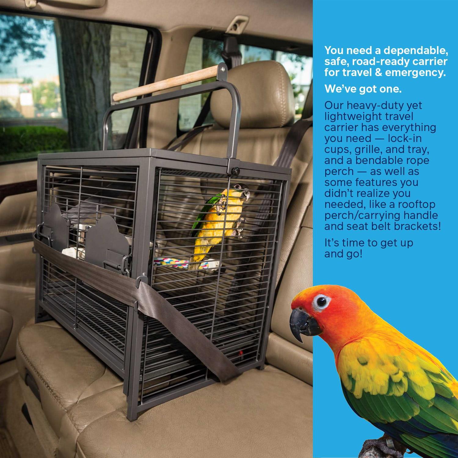 Prevue Pet Products Travel Carrier - Pet Supplies online store