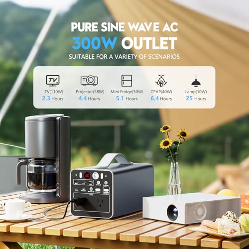 300W Portable Power Station, 299.7Wh Power Bank with AC Outlet, Dual Way 65W PD/USB-C Port, Laptop Charger Battery Pack Power Supply