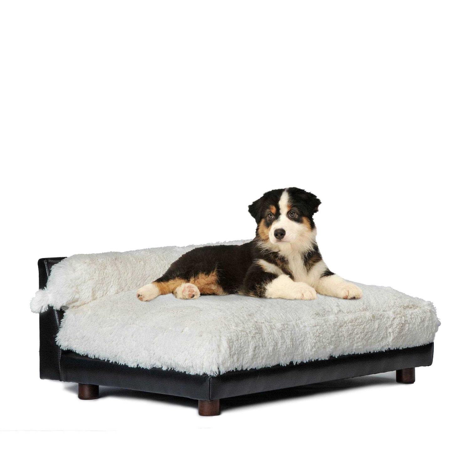 Club Nine Pets Roma Orthopedic Dog Bed - Pet Supplies online store