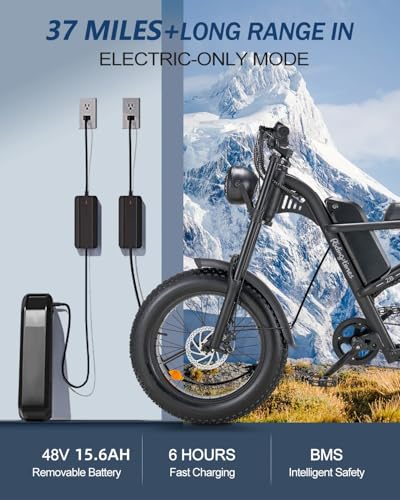 Riding'times 1500W Electric Bike for Adults Full Suspension, Long Seat Dirt Bike with 20" Fat Tire, Max 28/31MPH & 37-150 Miles
