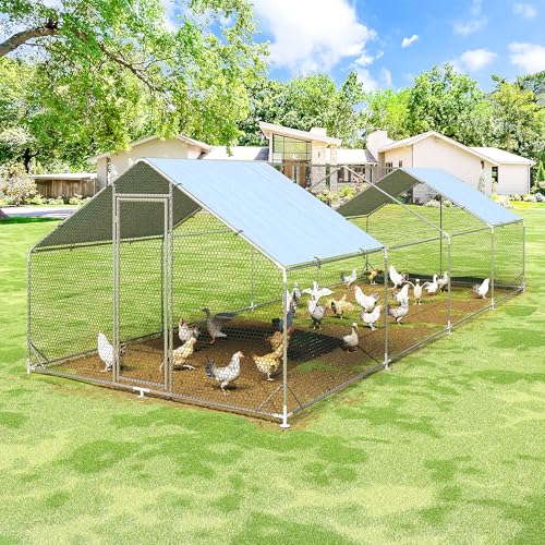 Large Metal Chicken Coop