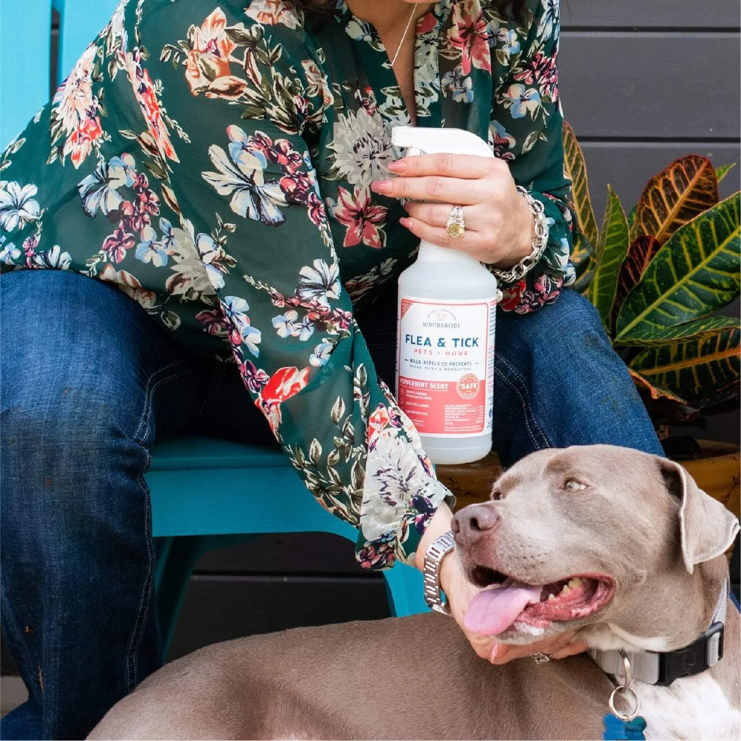 Wondercide Natural Peppermint Flea u0026 Tick Spray for Dog u0026 Cats