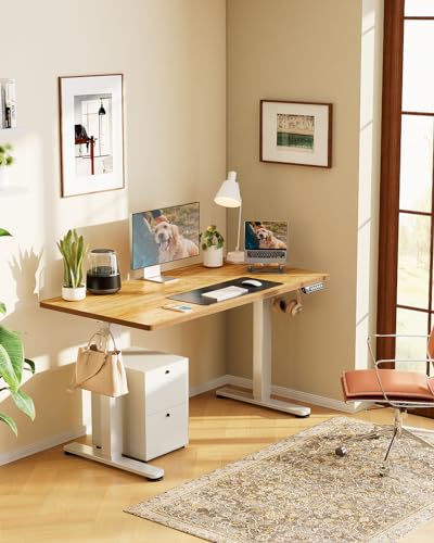ErGear Height Adjustable Electric Standing Desk, 48 x 24 Inches Sit Stand up Desk, Memory Computer Home Office Desk with Two-Piece Desktop (Walnut)