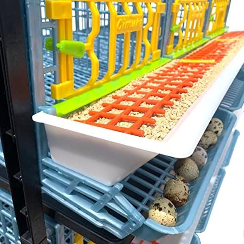 Quail Cage - 4 Layer (Power-Washable, Durable, ABS Plastic) | Hatching Time