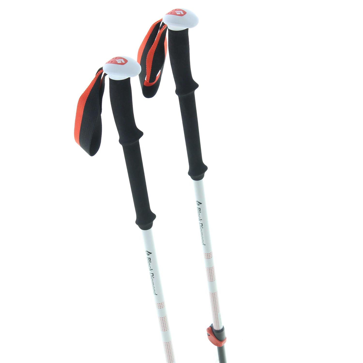 Black Diamond Expedition 2 Ski Poles - Sports Supplies Online Store
