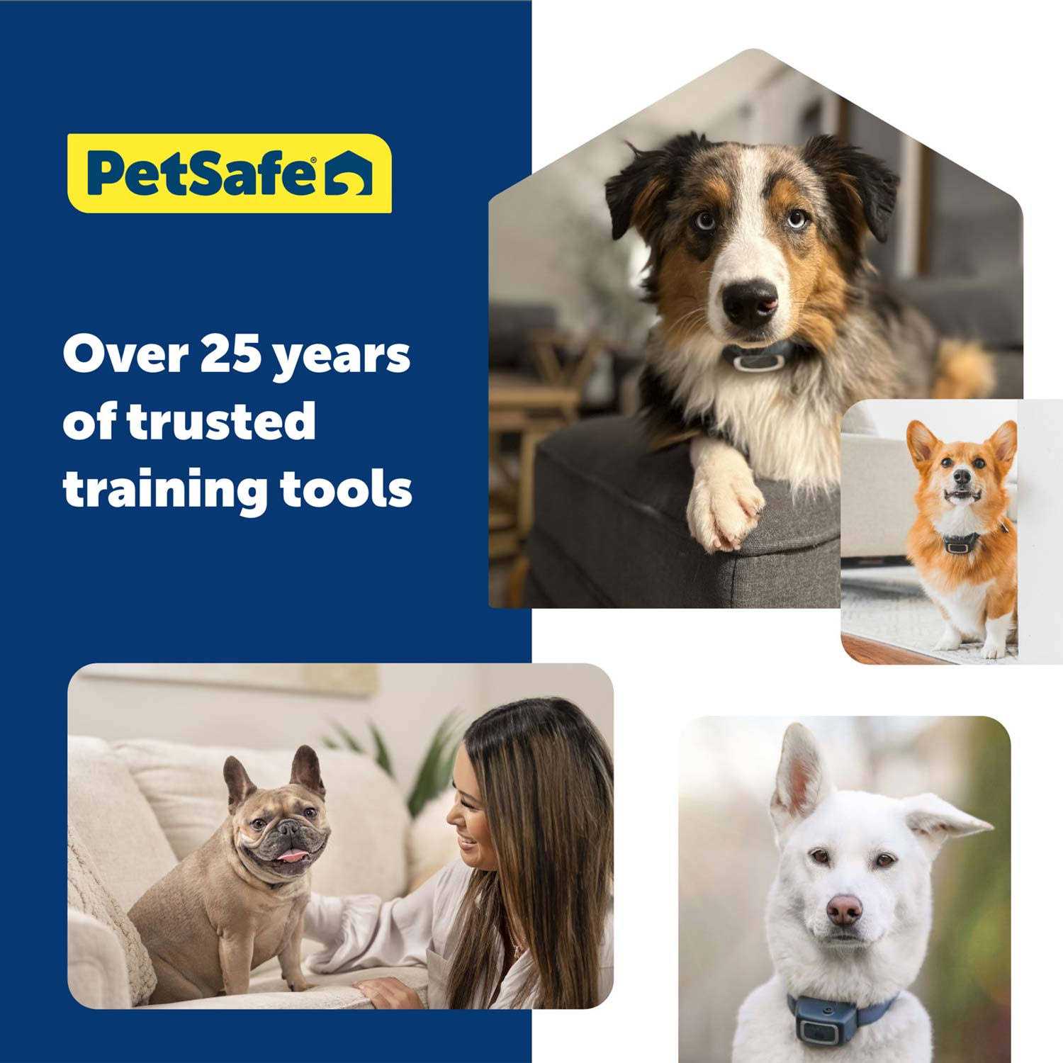 PetSafe 100 Yard Dog Remote Trainer - Pet Supplies online store