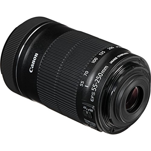 Canon 55-250mm STM