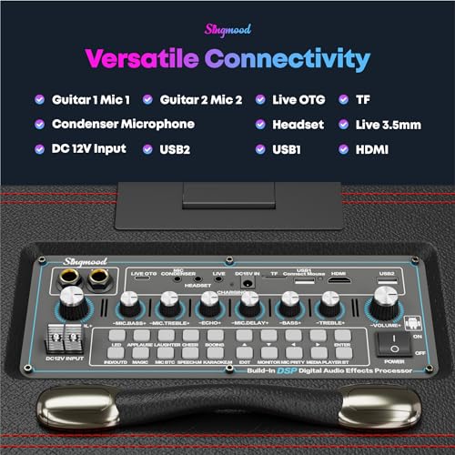 Karaoke Machine for Adults, with Lyrics Display, Smart Portable Big Bluetooth Speaker 2 Wireless Microphones