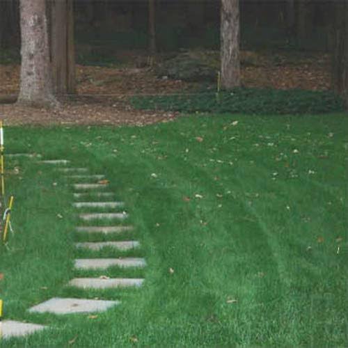 Outsidepride Legacy Fine Fescue Grass Seed - 10 lbs