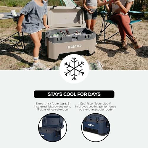 Igloo BMX Hard Coolers (25-72QT)