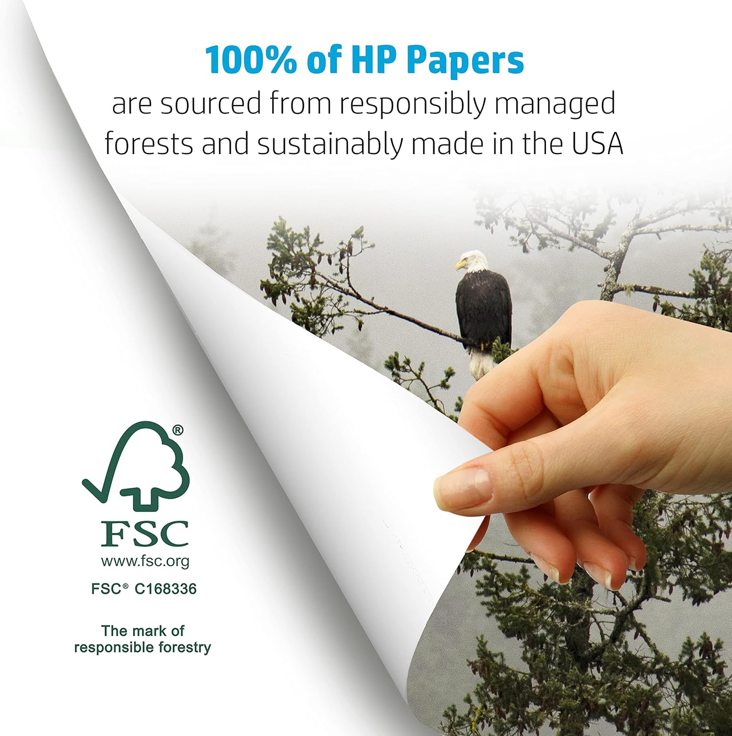 HP Printer Paper | 8.5 x 11 Paper | Office 20 lb | 1 Ream - 500 Sheets | 92 Bright | Made in USA - FSC Certified | 172160R