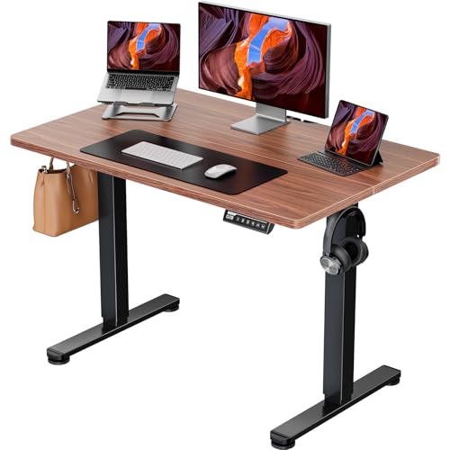ErGear Height Adjustable Electric Standing Desk, 48 x 24 Inches Sit Stand up Desk, Memory Computer Home Office Desk with Two-Piece Desktop (Walnut)