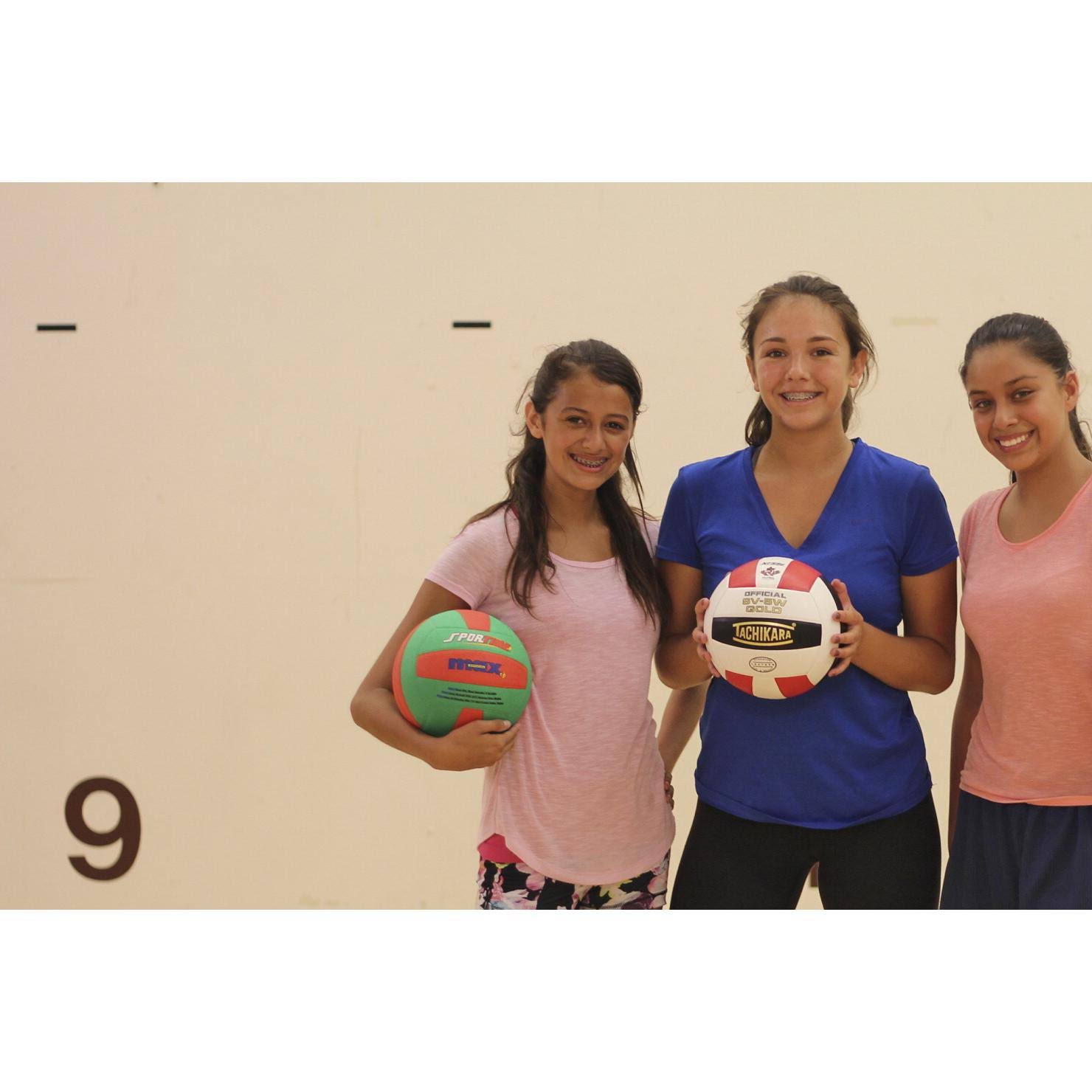 Tachikara SV5W Gold Competition Premium Leather Volleyball (Scarlet/White/Black)