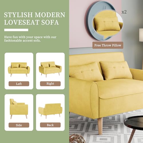 Vongrasig 47" Small Modern Loveseat Sofa