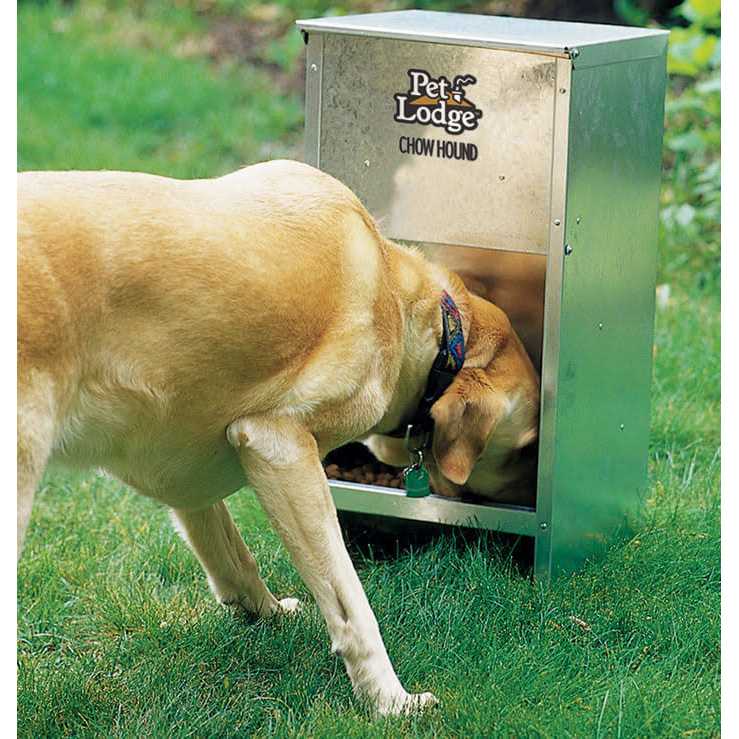 Pet Lodge Chow Hound Dog Feeder