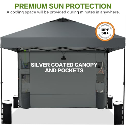 10'x10' Pop Up Canopy Tent with 1 Sidewall and 6 Pockets, One Push Setup, Instant Shade Tent with Vented Roof for Beach Patio Outdoor, Case, 8 Stakes