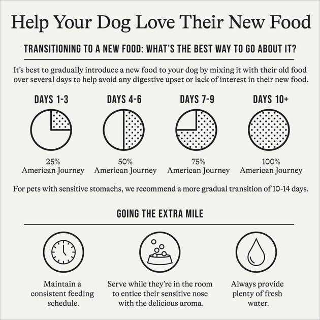 American Journey u0026 Brown Rice Protein First Recipe Dry Dog Food - Pet Supplies online store