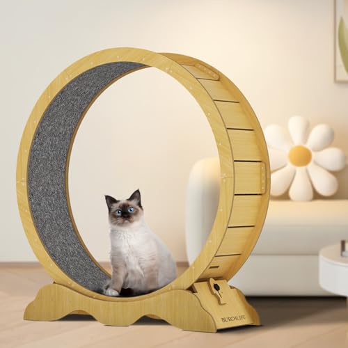 Cat Exercise Wheel 45 Inch Cat Treadmill for Indoor Cats, Running Wheel with Detachable Carpeted Runway