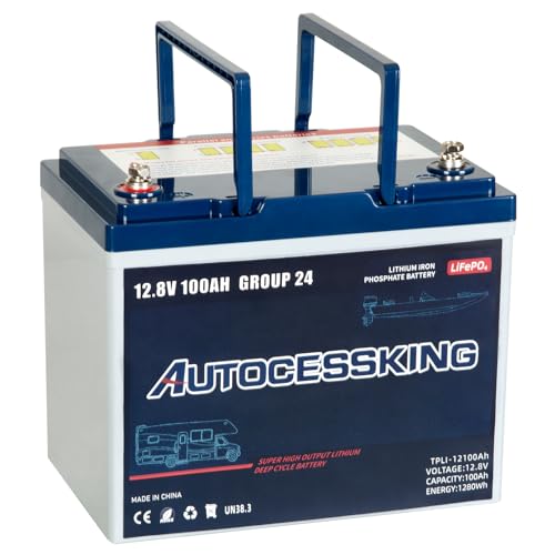 12V 100Ah BCI Group 24 LiFePO4 Battery, 100A BMS Rechargeable Mini Lithium Battery with Low-Temp Protection, Up to 15000 Cycles Perfect for RV
