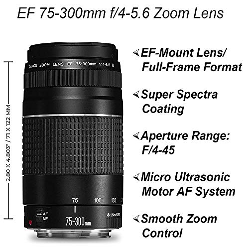 Canon EOS 2000D / Rebel T7 DSLR Camera with EF-S 18-55mm + EF 75-300mm Daul Lens + SanDisk 64GB Memory Card + Tripod + Case + Wideangle Lenses +