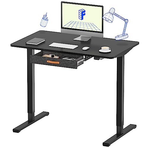 FLEXISPOT Standing Desk with Drawer Electric Sit Stand Desk with 48 x 24 Inches Whole-Piece Desktop Ergonomic Memory Controller Adjustable Height