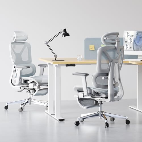 FLEXISPOT ErgoX Premium Ergonomic Office Chair with Footrest- Adjustable 3D Armrests, Dynamic Lumbar Support, Recline & Tilt Function, Mesh Seat