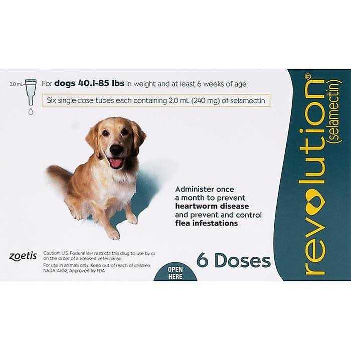 Revolution Teal 6 Pack - Pet Supplies online store