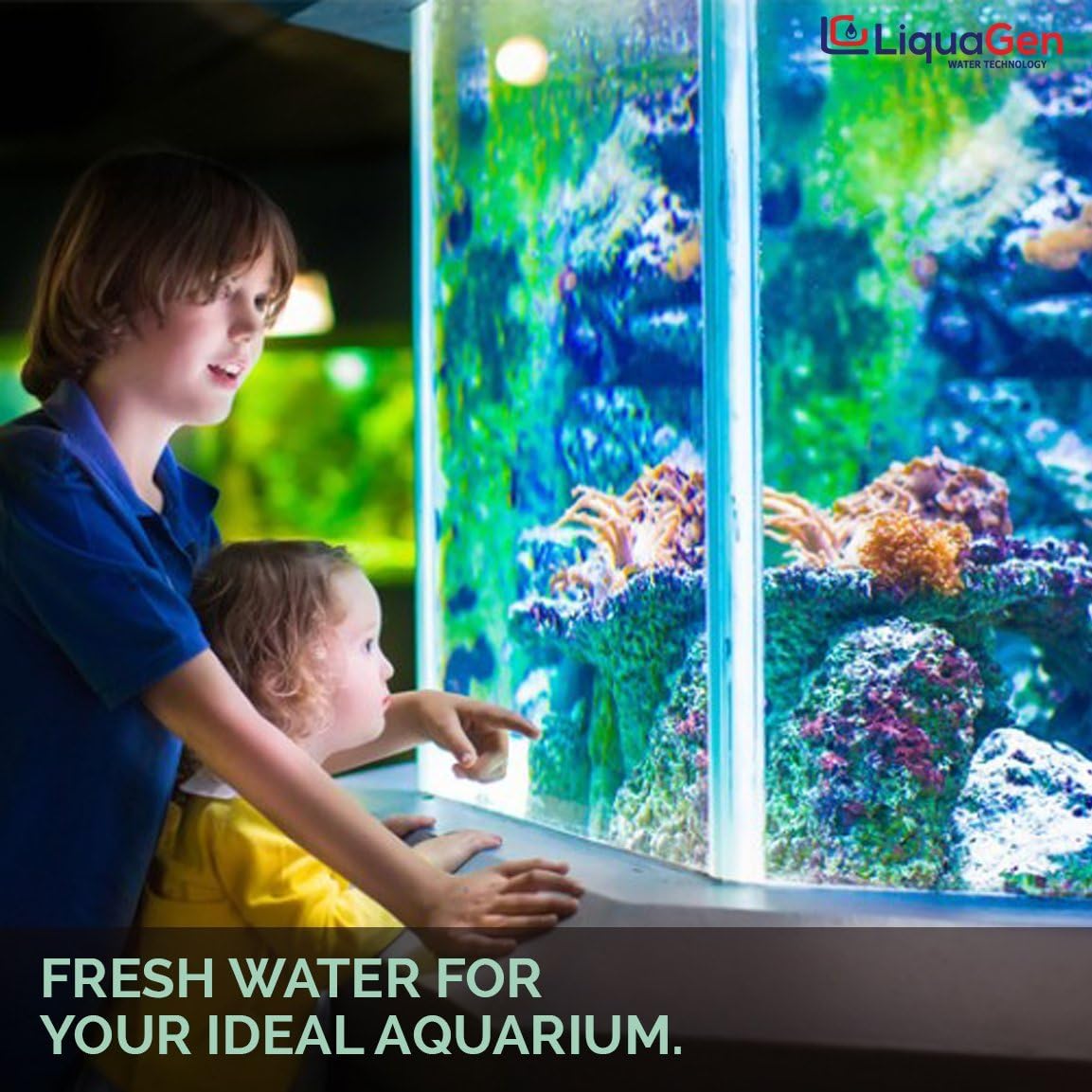 LiquaGen- Aquarium Reef Reverse Osmosis Deionization (RODI) Water Filter System + TDS Meter
