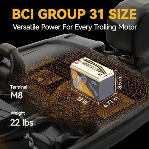 Power Queen 12.8V 100Ah LiFePO4, Upgraded Low Temperature Cut-off Function, Built-in 100A BMS, Grade A Battery Cell, Up to 15000+ Cycles
