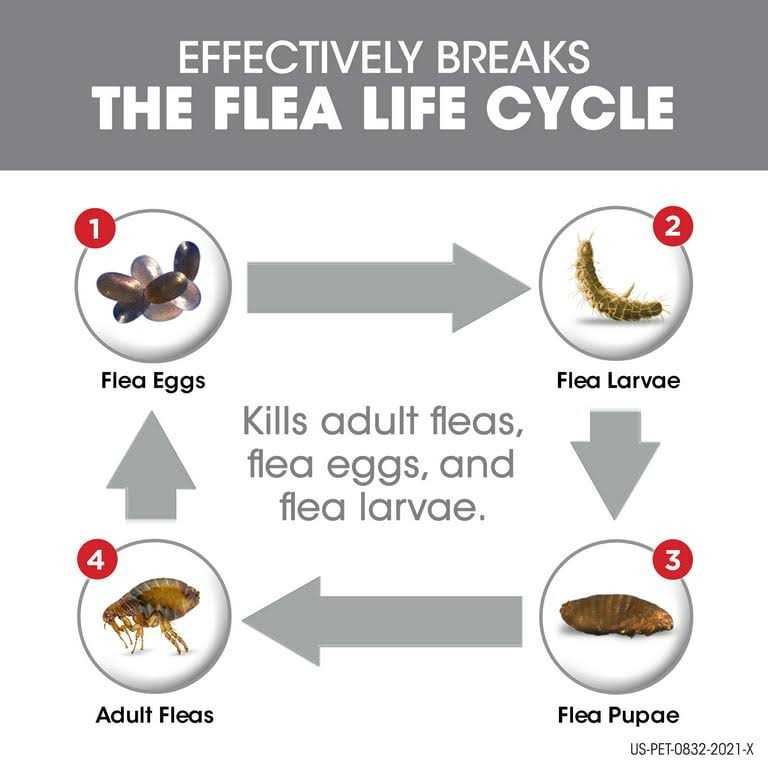 Frontline Plus Dogs Flea Tick - Pet Supplies online store
