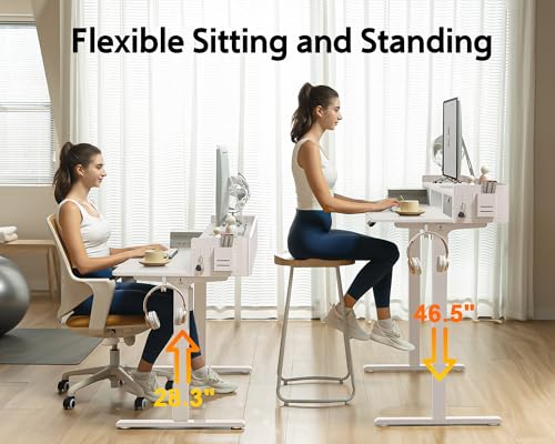 48x24 Inches Electric Standing Desk with 2 Drawers, Height Adjustable Stand up Desk for Home Office, Ergonomic Sit to Stand Table with Storage Shelf