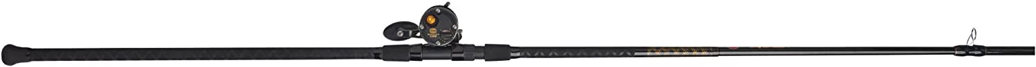 PENN 10' Squall II Star Drag Conventional Combo, Reel Size 15