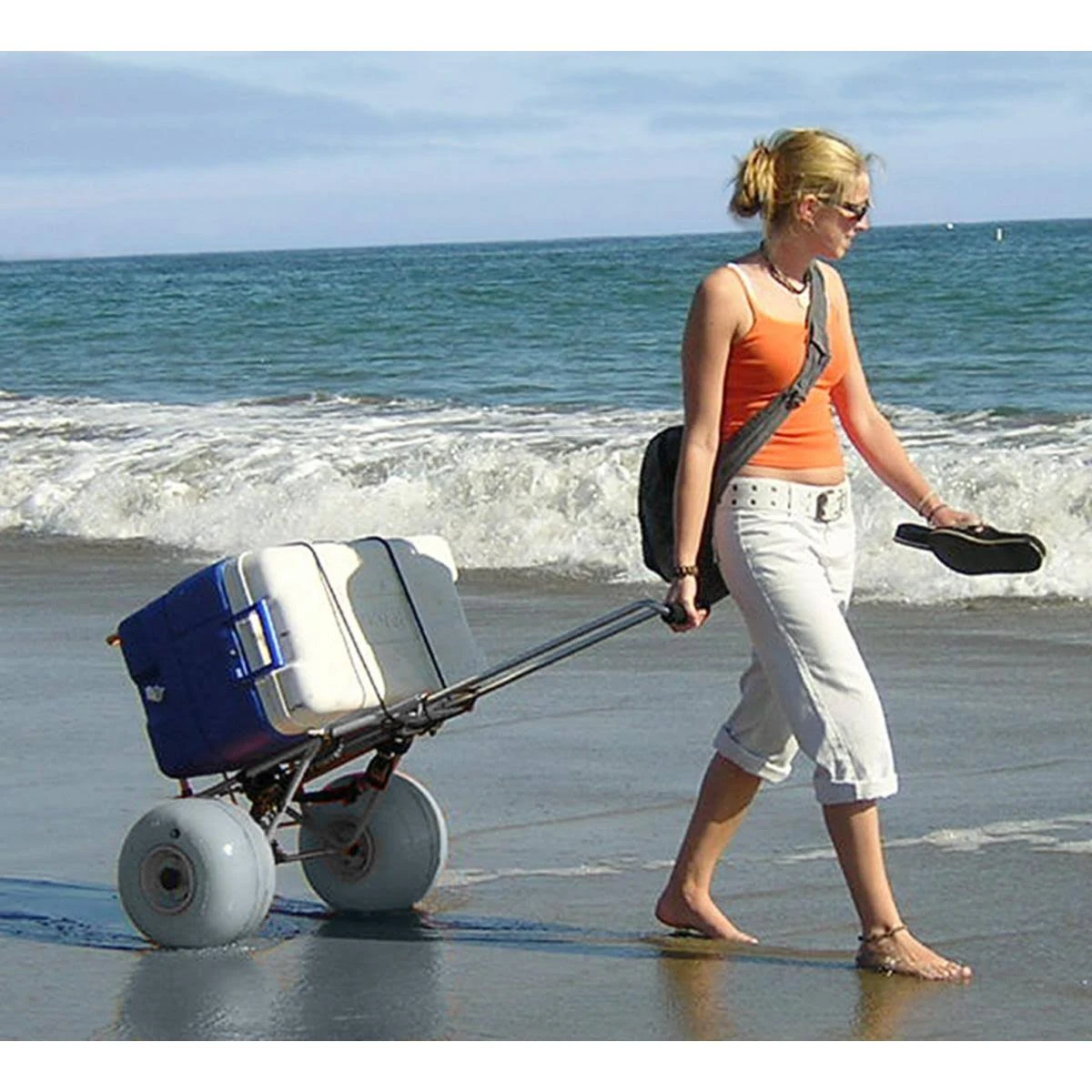 Folding Beach Cart by Wheeleez Rolling Caddy Large Heavy Duty 165 lbs. Capacity WZ1-BCF
