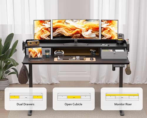 48x24 Inches Electric Standing Desk with 2 Drawers, Height Adjustable Stand up Desk for Home Office, Ergonomic Sit to Stand Table with Storage Shelf