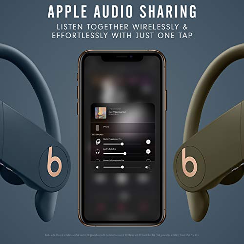 Beats Powerbeats Pro Wireless Earbuds - Apple H1 Headphone Chip, Class 1 Bluetooth Headphones, 9 Hours of Listening Time, Sweat Resistant