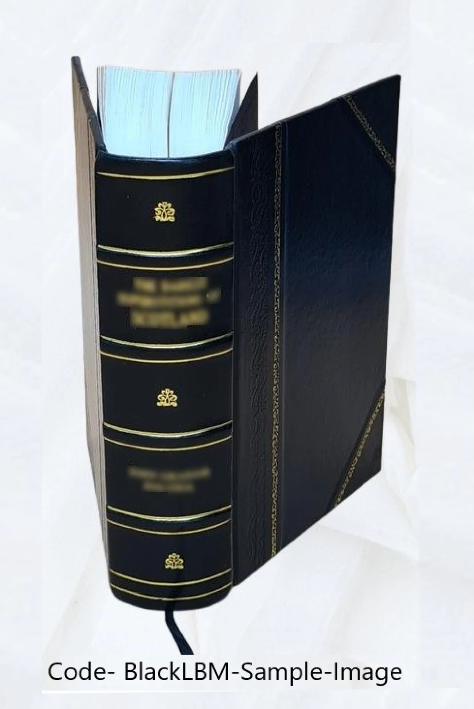 1980 census of population. Volume 1, Characteristics of the population. Volume pt.42 A-C South Carolina 9999 [Leather Bound]