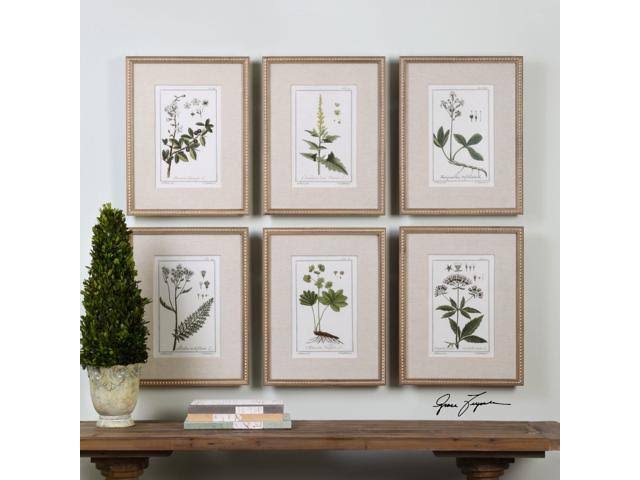 Uttermost Green Floral Botanical Study Prints - Set of 6