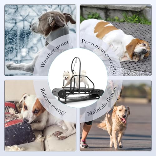 Large Dog Treadmill - Adjustable Indoor Exercise Machine for Medium & Large Breeds, Enhance Pet Health with Safe, Quiet
