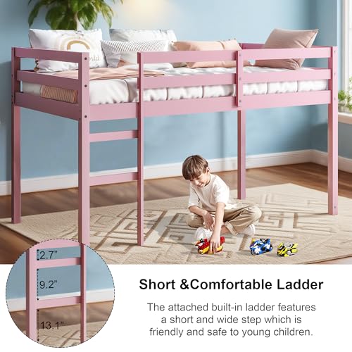 Low Loft Bed Twin Size, Kids Solid Wood Modern Loft Bed Frame with Ladder and Safety Guardrail for Girls Boys, Noise-Free,Non-Toxic Finishes