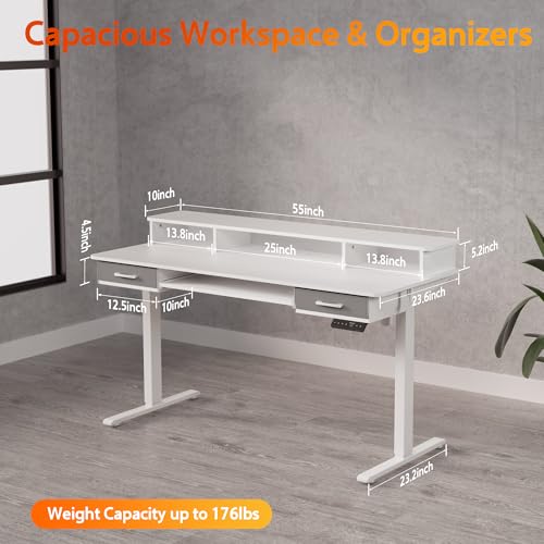 48x24 Inches Electric Standing Desk with 2 Drawers, Height Adjustable Stand up Desk for Home Office, Ergonomic Sit to Stand Table with Storage Shelf
