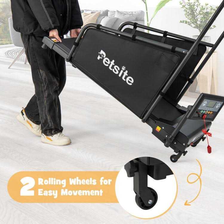 Indoor Pet Exercise Equipment with Remote Control - Pet Supplies online store
